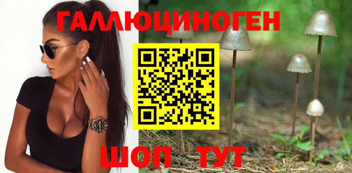 Псилоцибиновые грибы мицелий Грязи